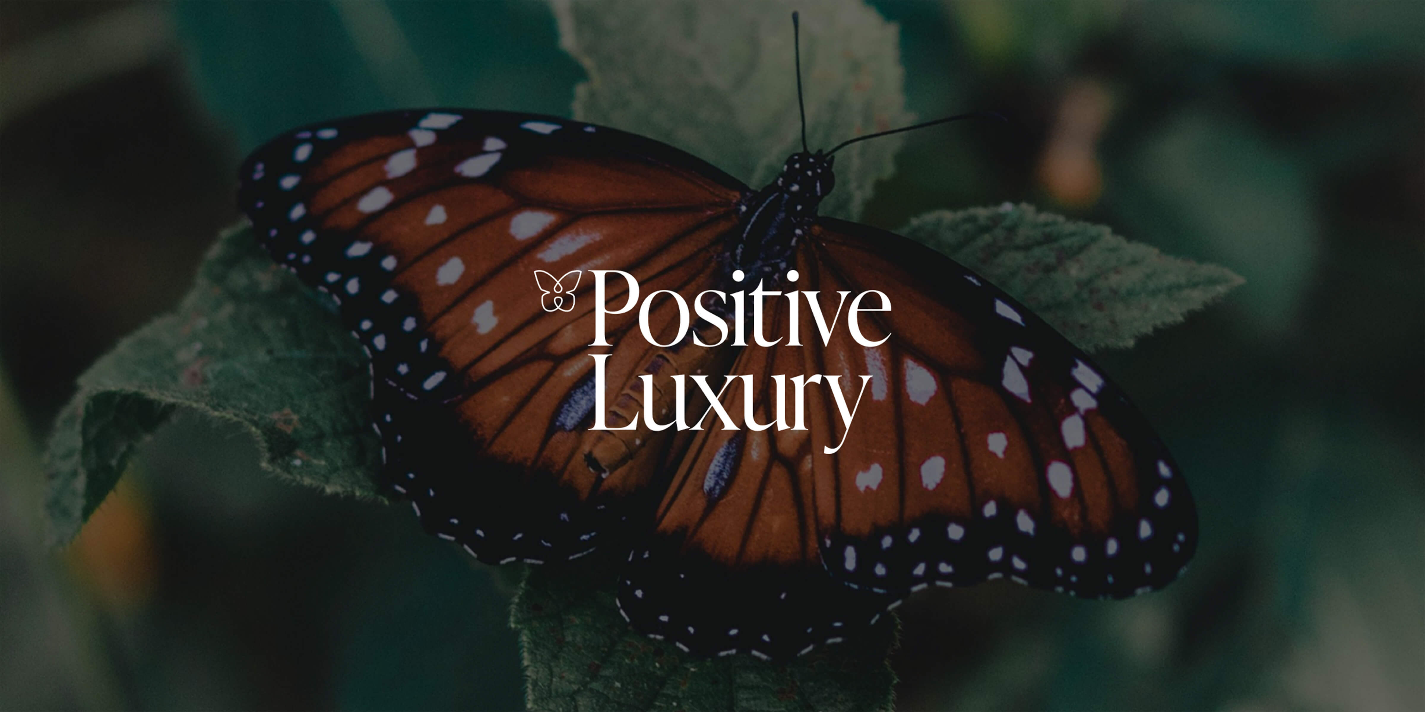 KNESKO Earns Positive Luxury Status: Our Commitment to Sustainable Luxury.