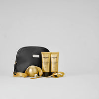 Gold Repair Body Travel Kit